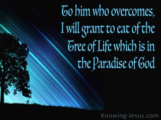 Revelation 2:7 He Who Has An Ear Let Him Hear (black)